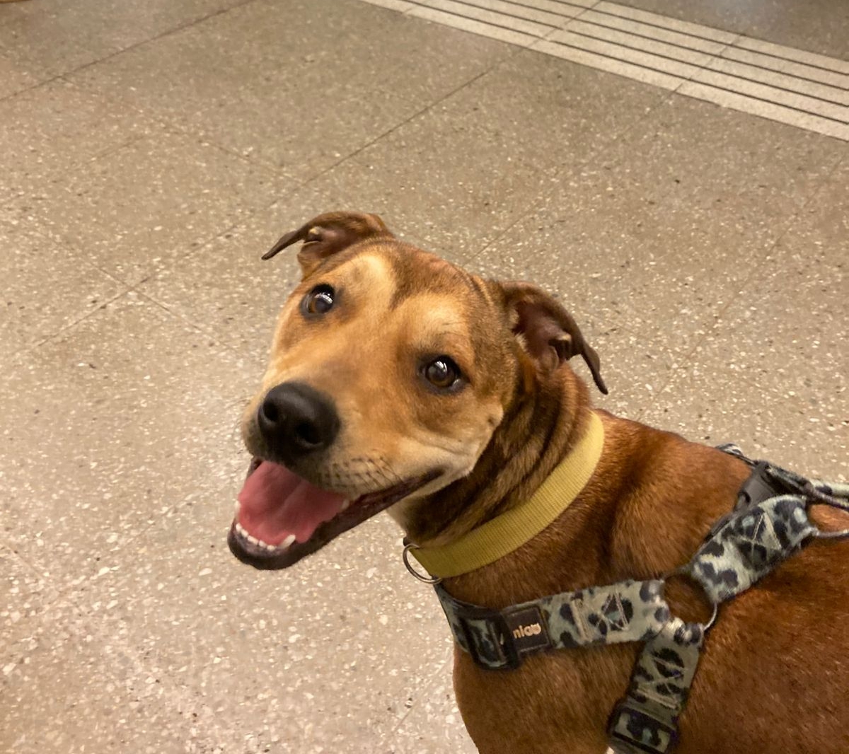 Sol en el metro de Santiago - AEDA